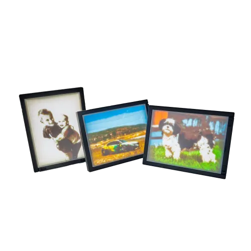 Drie ingelijste foto's: links een ouder met kind, in het midden een sportauto op een landschap, rechts een hond op gras.