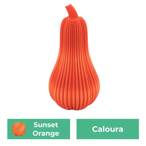 Caloura Pompoen | Sunset Oranje | 11CM