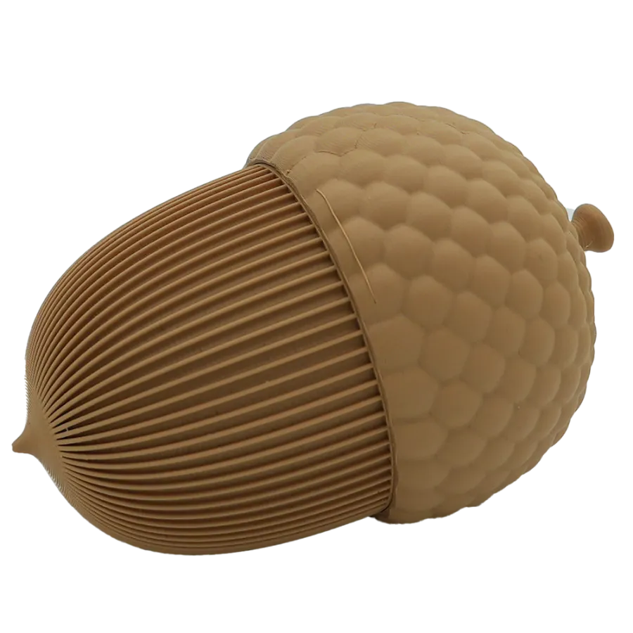 Autumn acorn -  -  - 