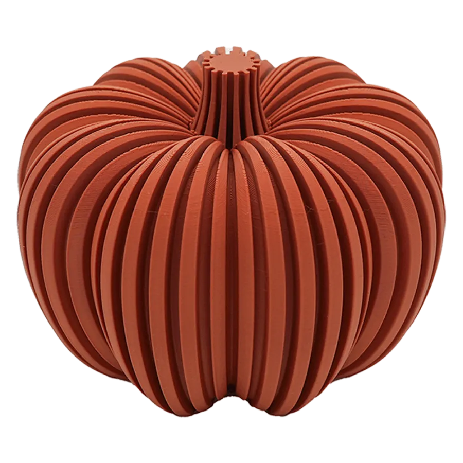 Solora-Kürbis -  - 