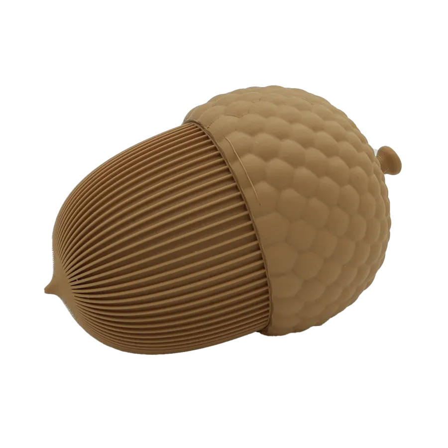 Autumn acorn -  -  - 