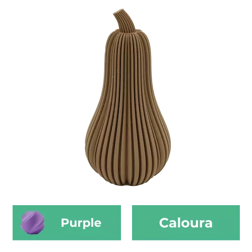 Caloura-Kürbis |  | 