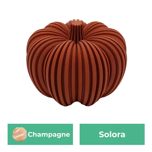 Solora Pompoen | Champagne | 10CM