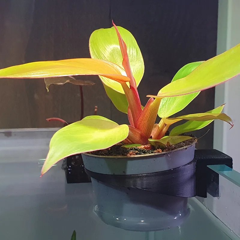 Planthanger voor Aquarium | Pothouder voor Open Aquarium | glasdikte 6mm | potmaat 53mm