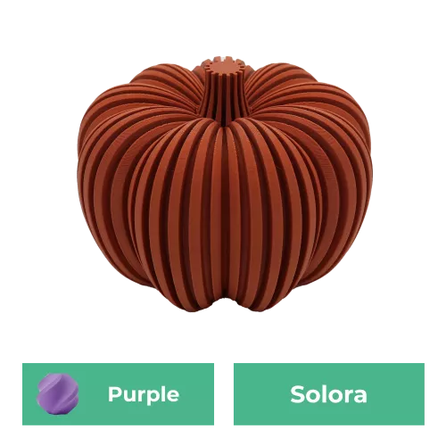 Solora Pompoen | Paars | 10CM